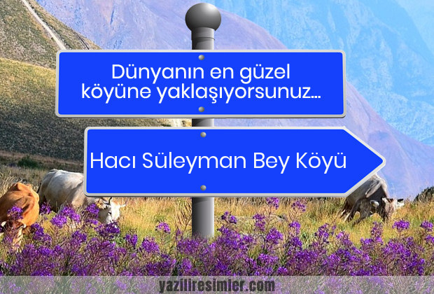 Hacı Süleyman Bey Köyü